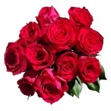 Buque Magia Pink