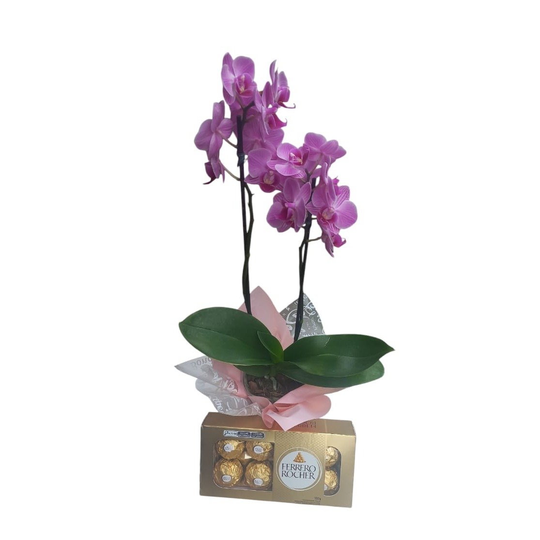 Mini Orquídea Lilás com Chocolate Ferrero Rocher