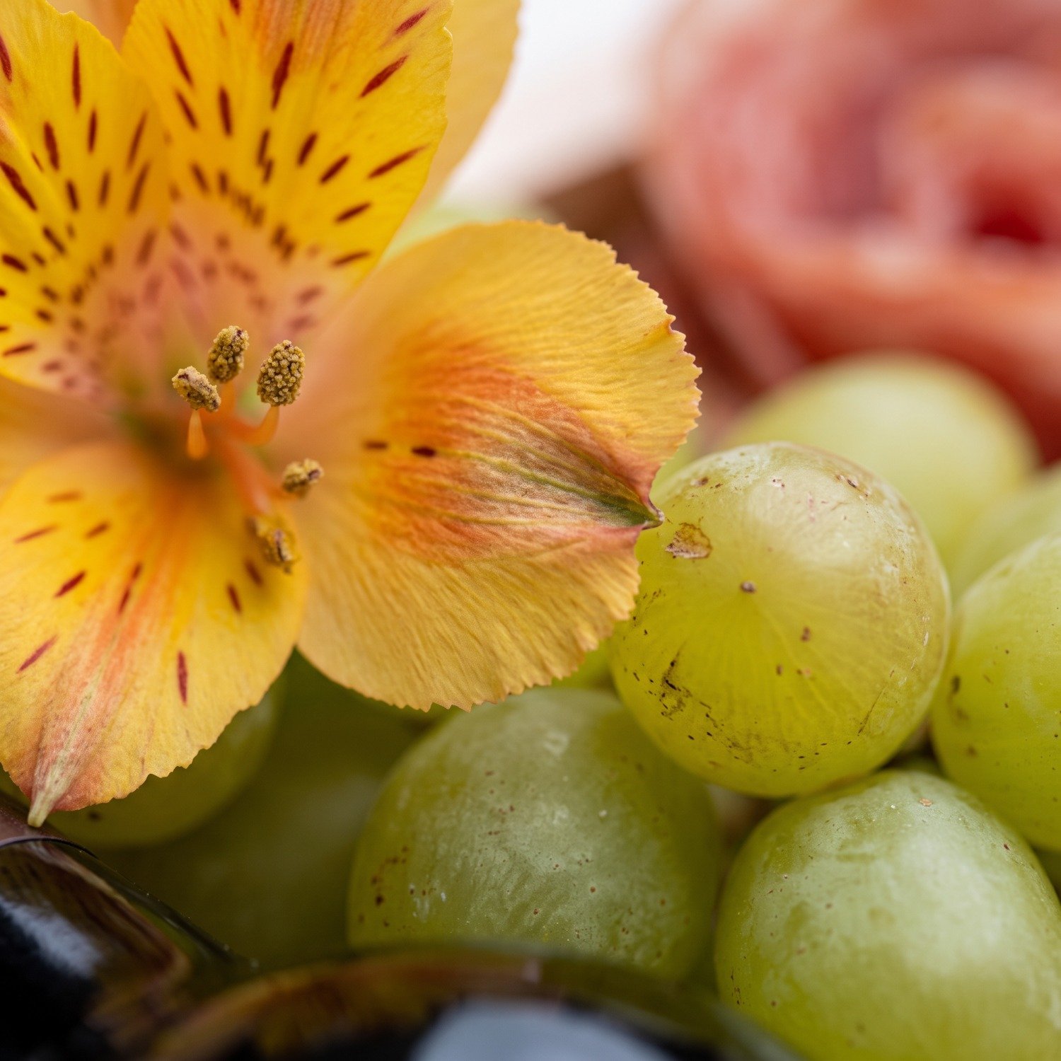 Cesta de Queijos e Vinhos