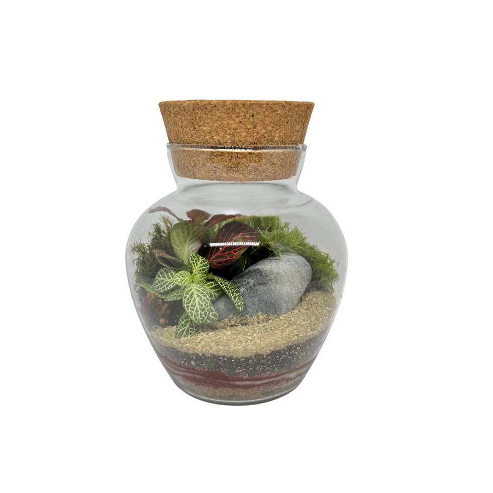 Terrário Bojudo Pequeno
