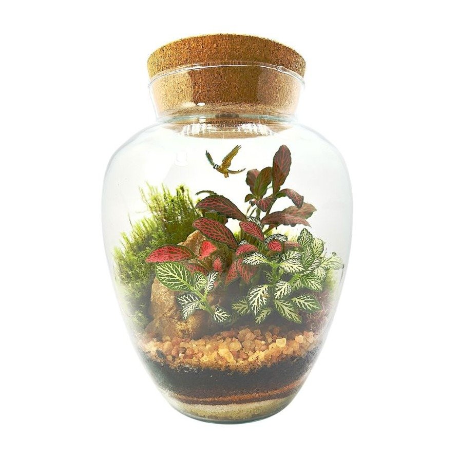 Terrário Arara Médio
