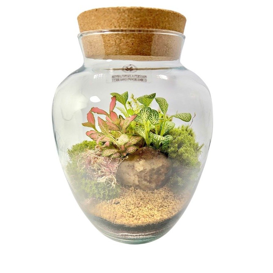 Terrário Pera Médio