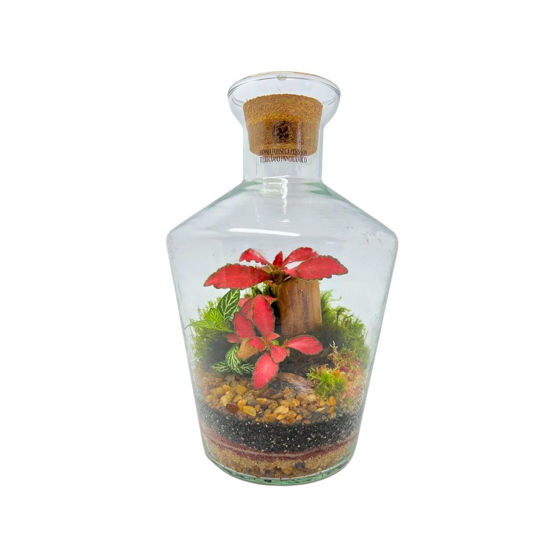 Terrário Garrafa Cravo Médio