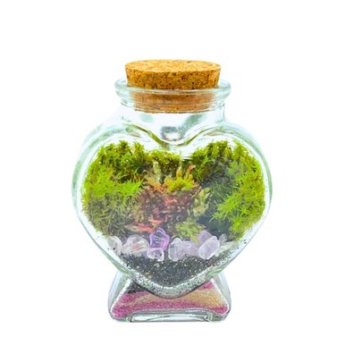 Terrário Mini Coração
