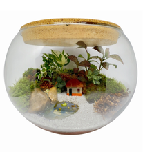 Terrário Aquario Grande