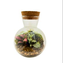 Terrário Singapura 