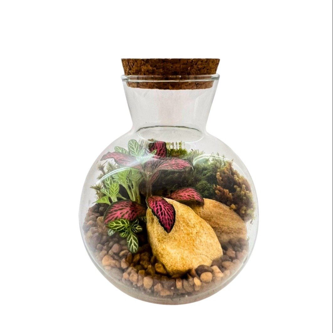 Terrário Singapura 