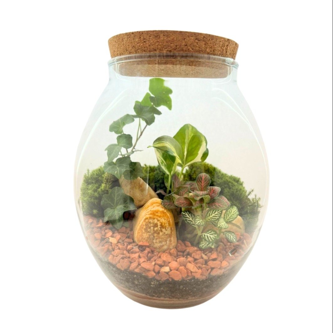 Terrário Barrica N'joy