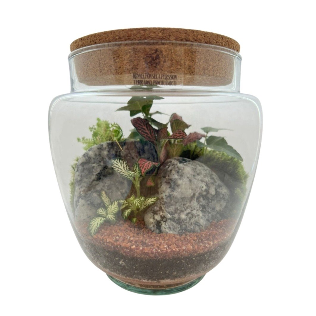 Terrário Suécia 