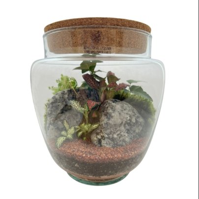 Terrário Suécia