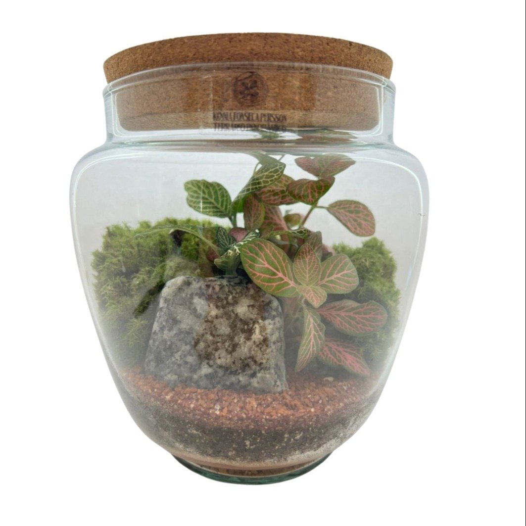 Terrário Suécia 