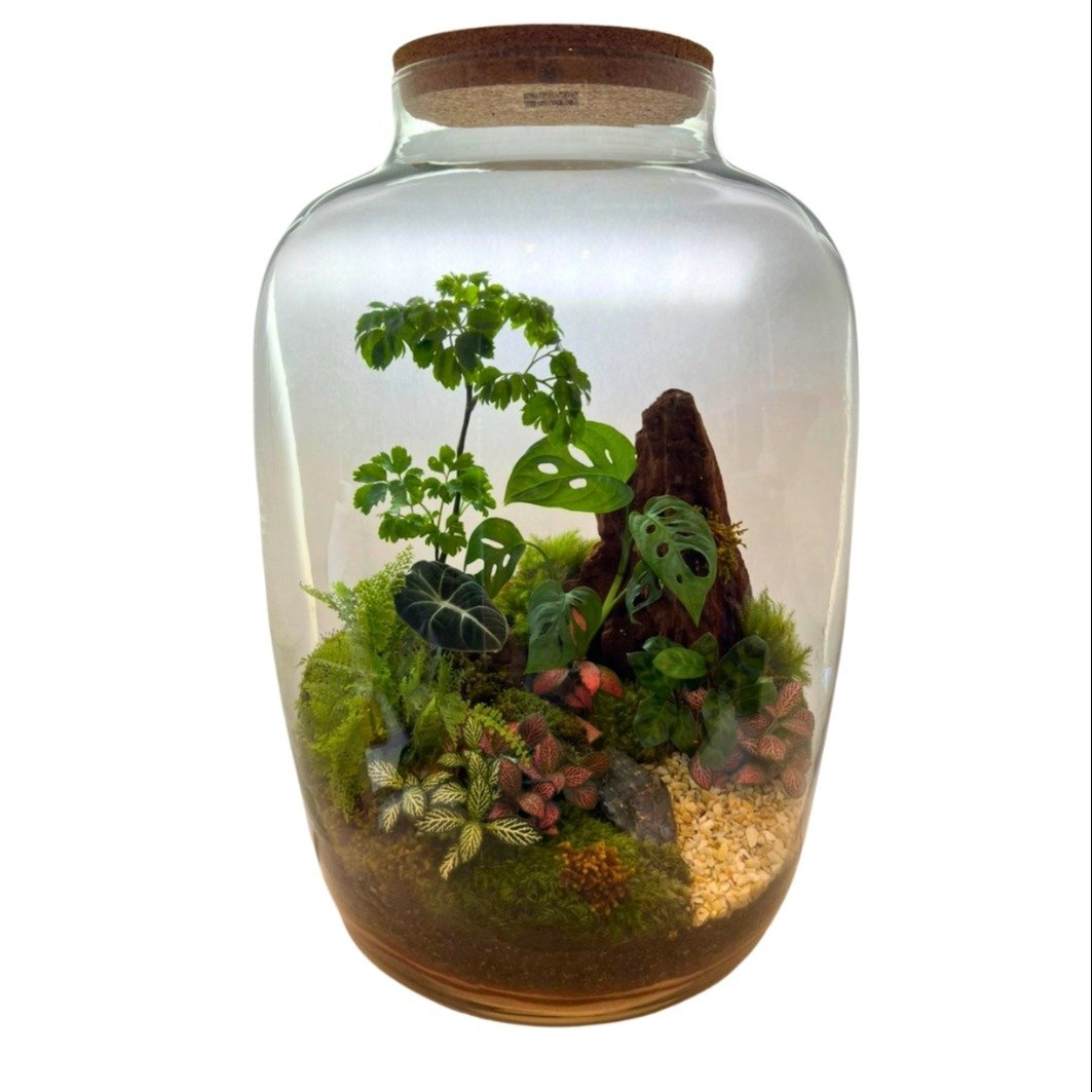 Terrário Barril Labradorita