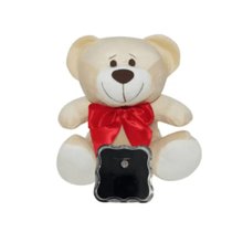 Kit Mimo Ponto de Luz e Urso