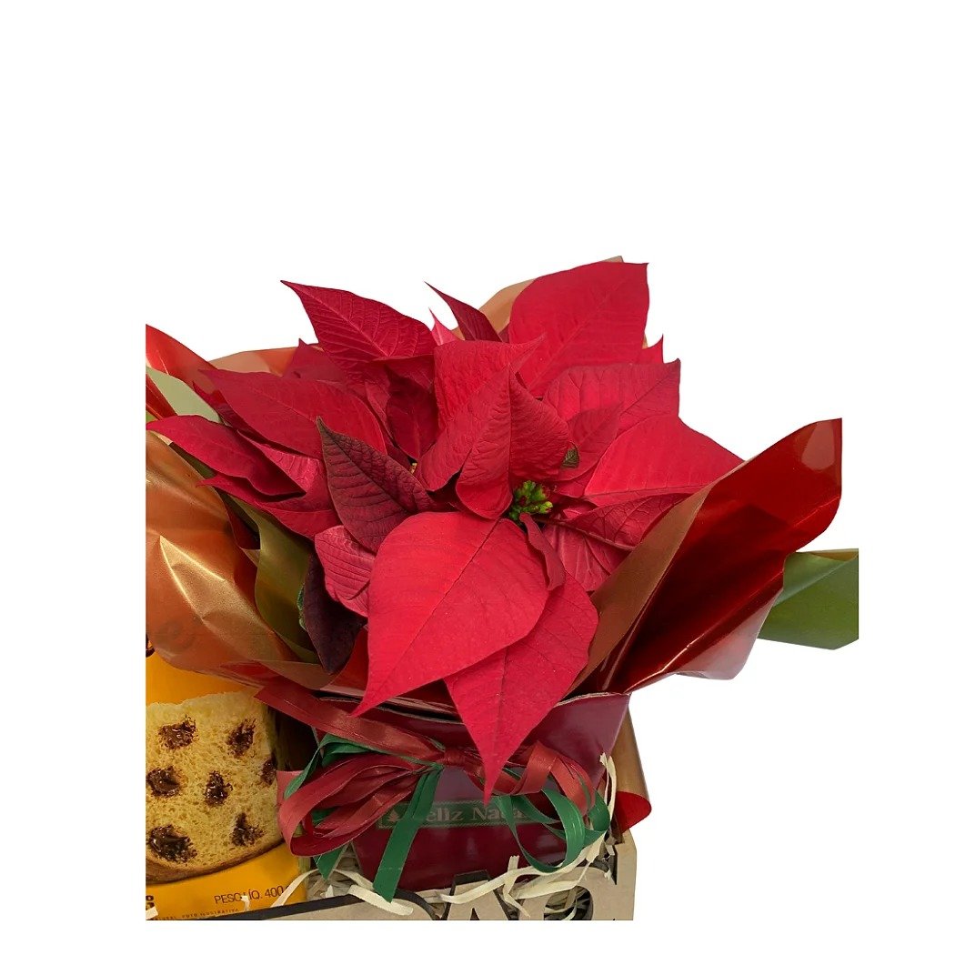 Bandeja Gratidão Natal Encantado