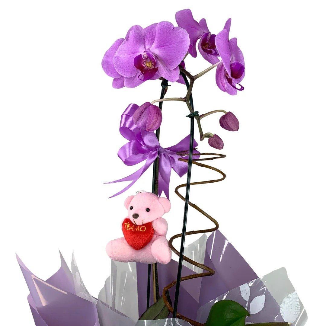 Orquídea Lilás Com Pelucia Chaveiro e Ferrero rocher