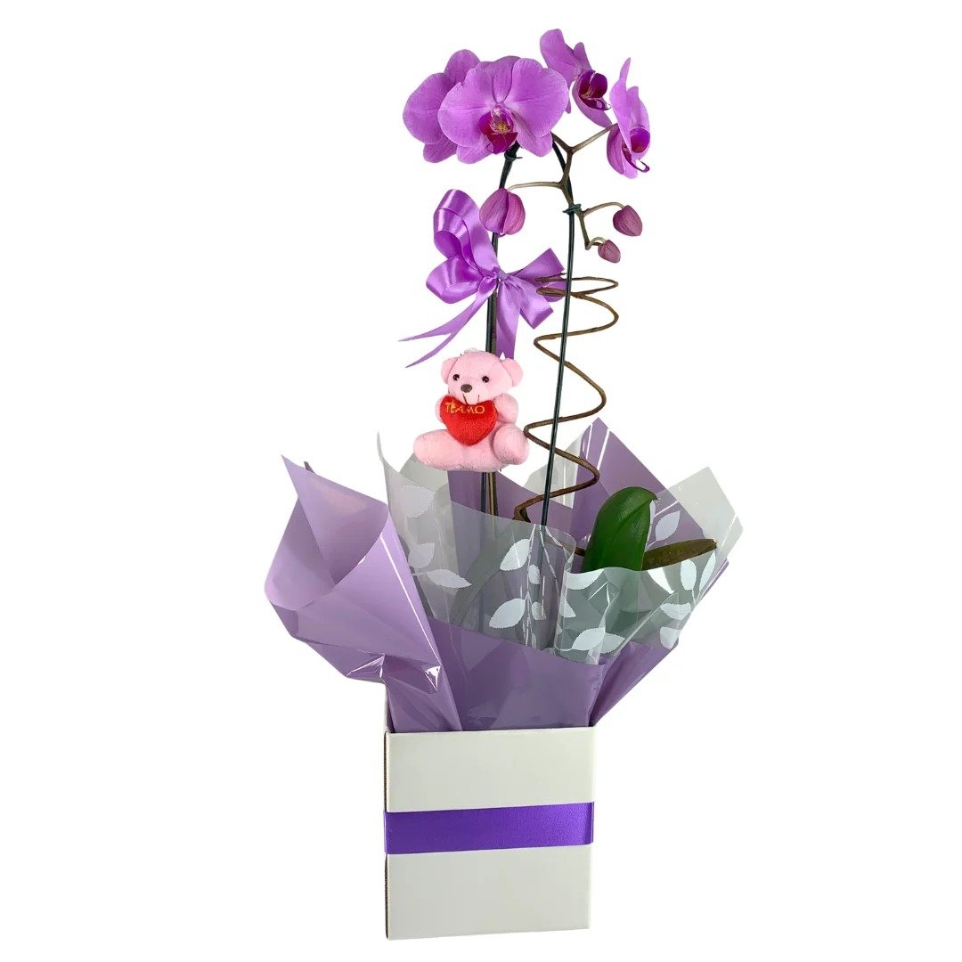 Orquídea Lilás Com Pelucia Chaveiro e Ferrero rocher
