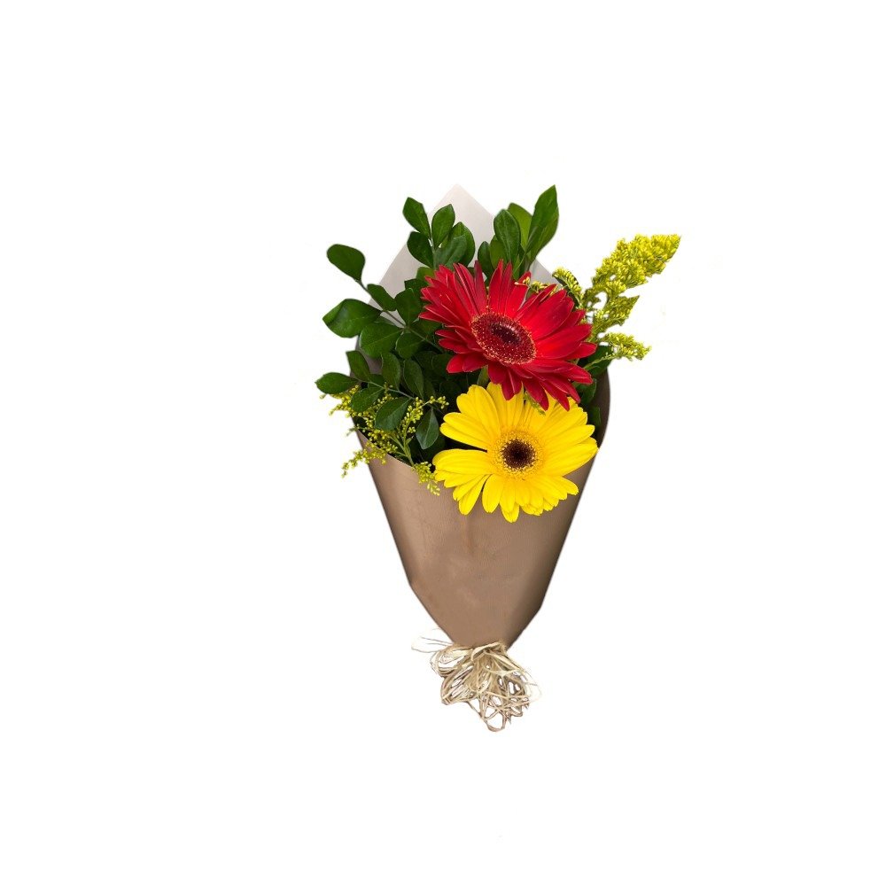 Mini Encanto de Gerberas