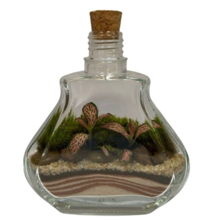 Terrário Esmeralda