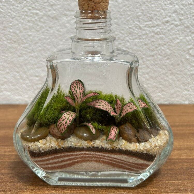 Terrário Esmeralda
