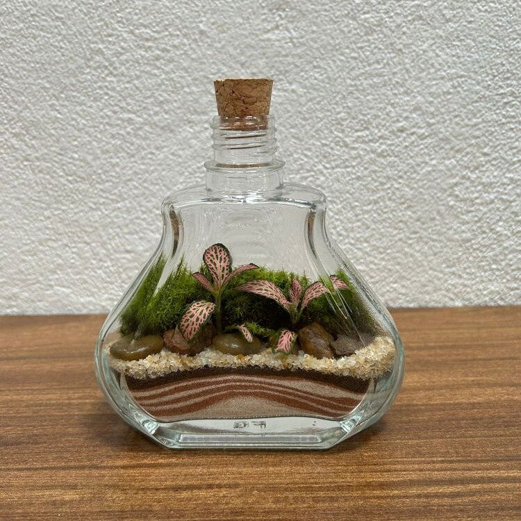 Terrário Esmeralda