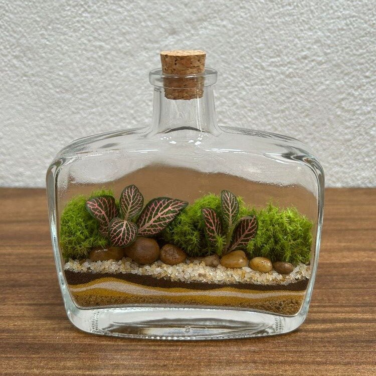 Terrário Van Gogh