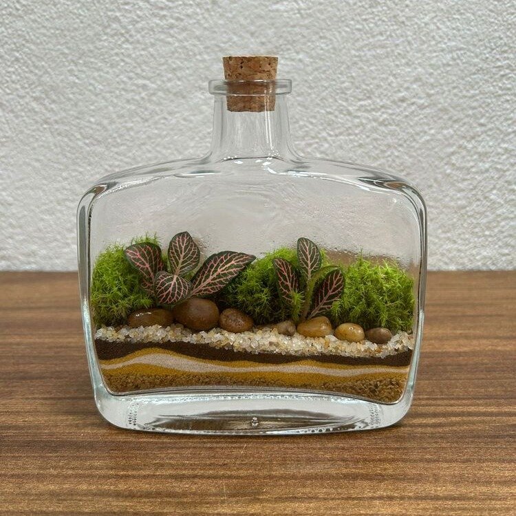 Terrário Van Gogh