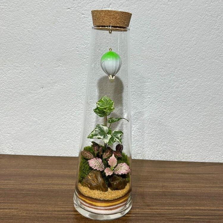 Terrário Sonhos Flutuantes