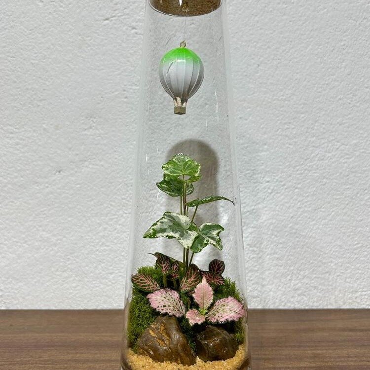 Terrário Sonhos Flutuantes
