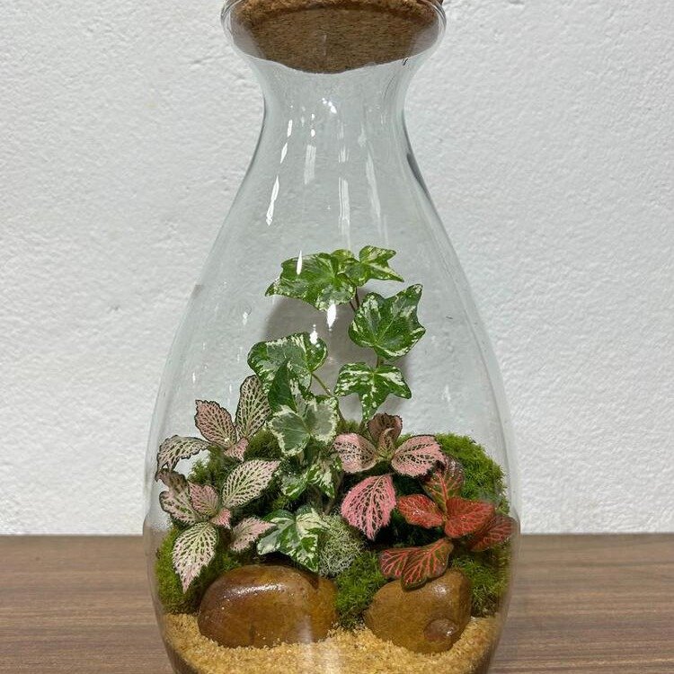 Terrário Requinte