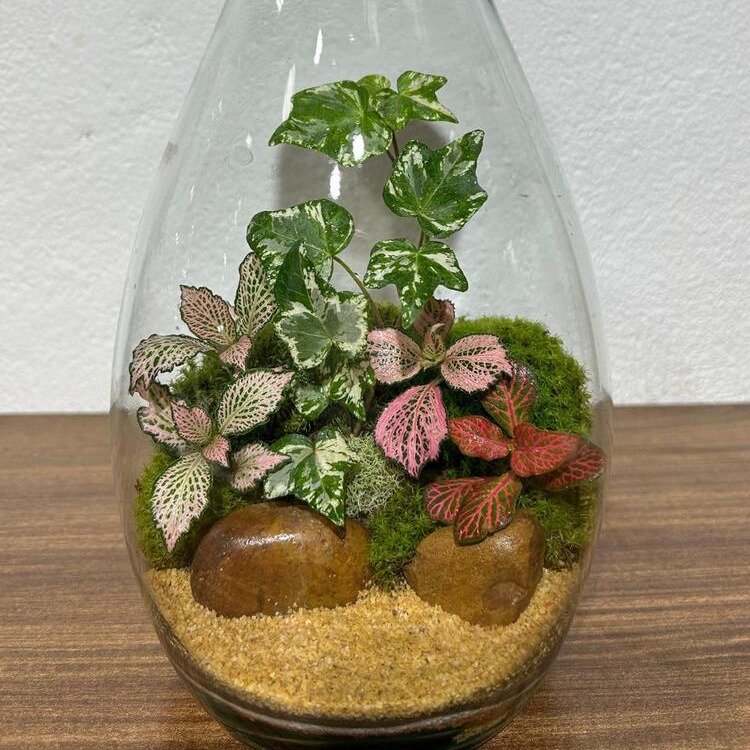 Terrário Requinte