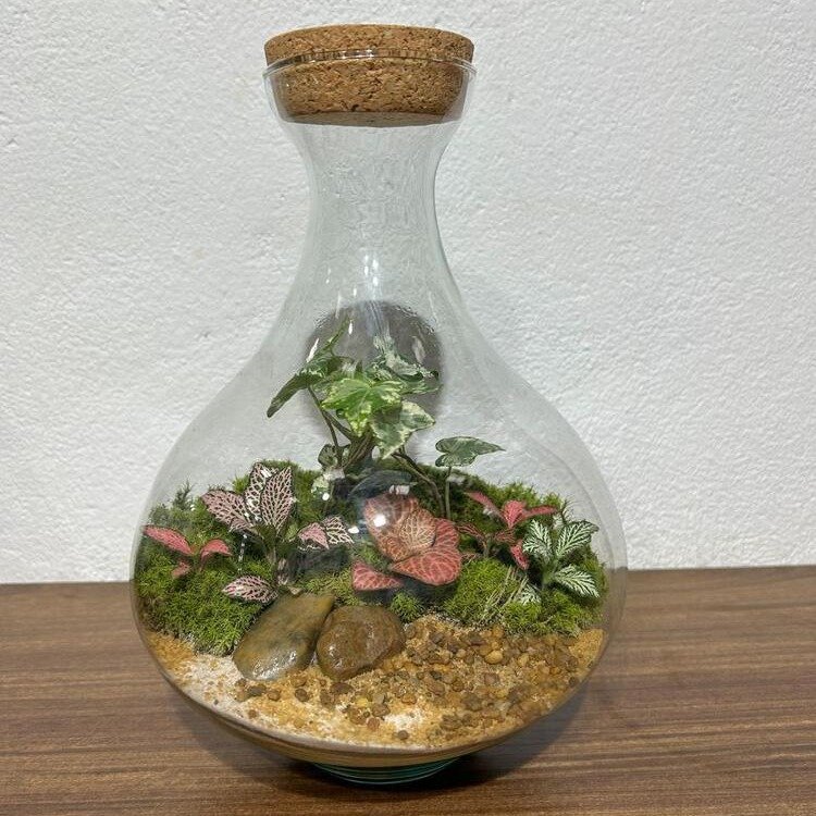 Terrário Osaka