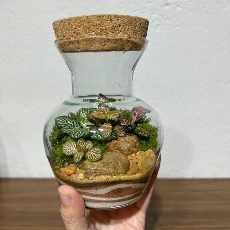 Terrário Floreira