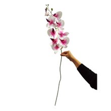 Haste Orquidea com 09 botões - Branco com Rosa