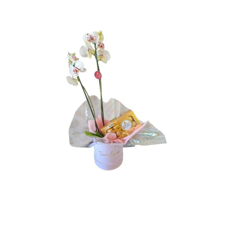 Box Orquídea