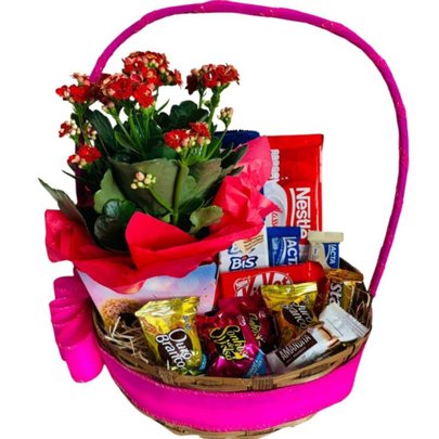 Cesta de Chocolates Carinho