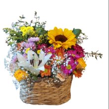 Meu Jardim Encantado