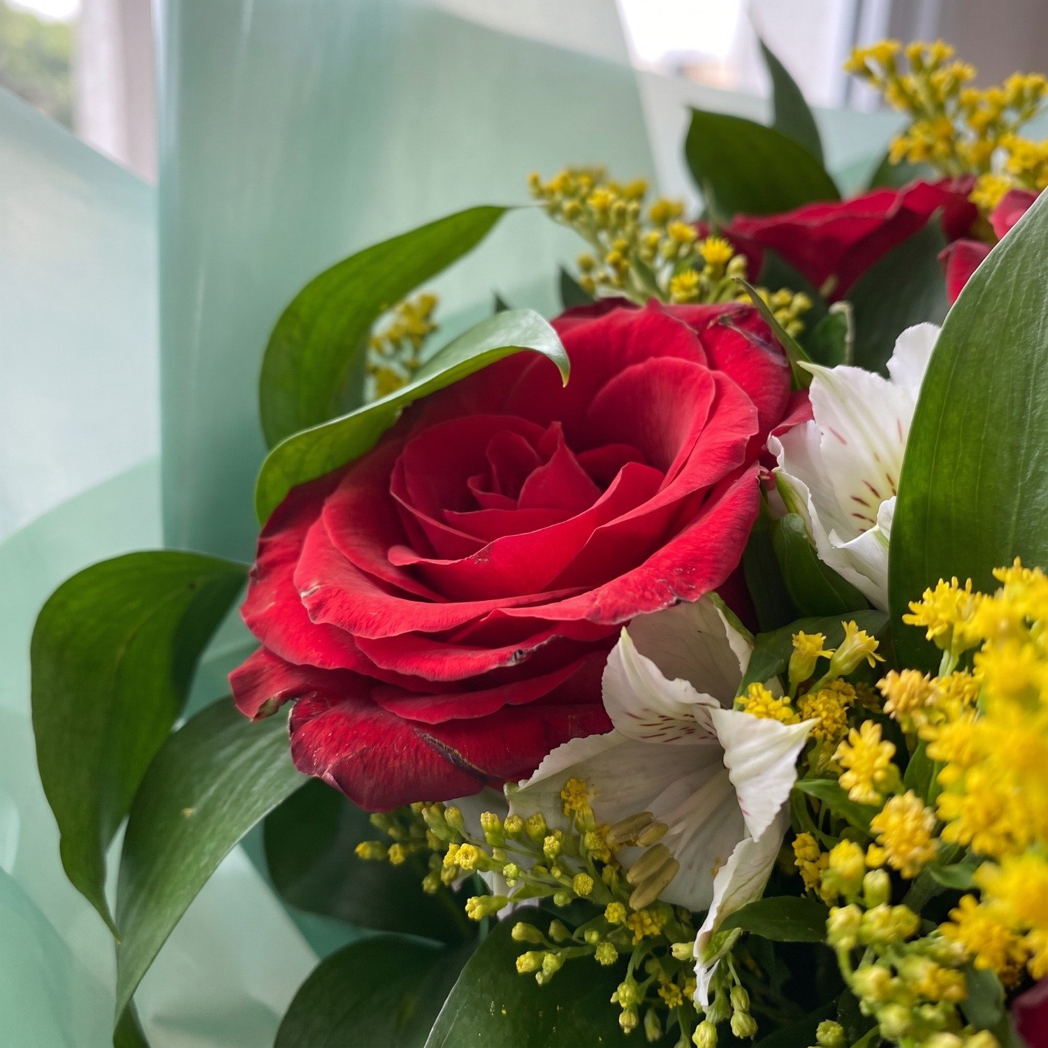 Buquê de Rosas Vermelhas Sentimentos