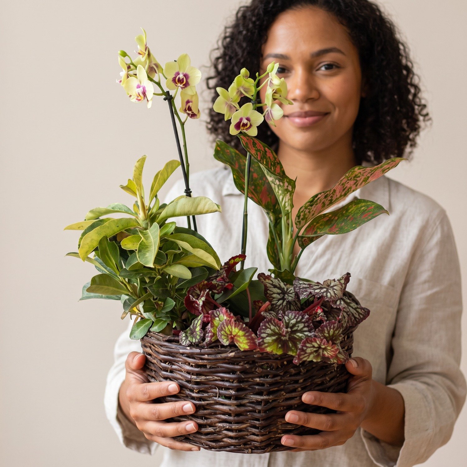 Orquídeas e Folhagens