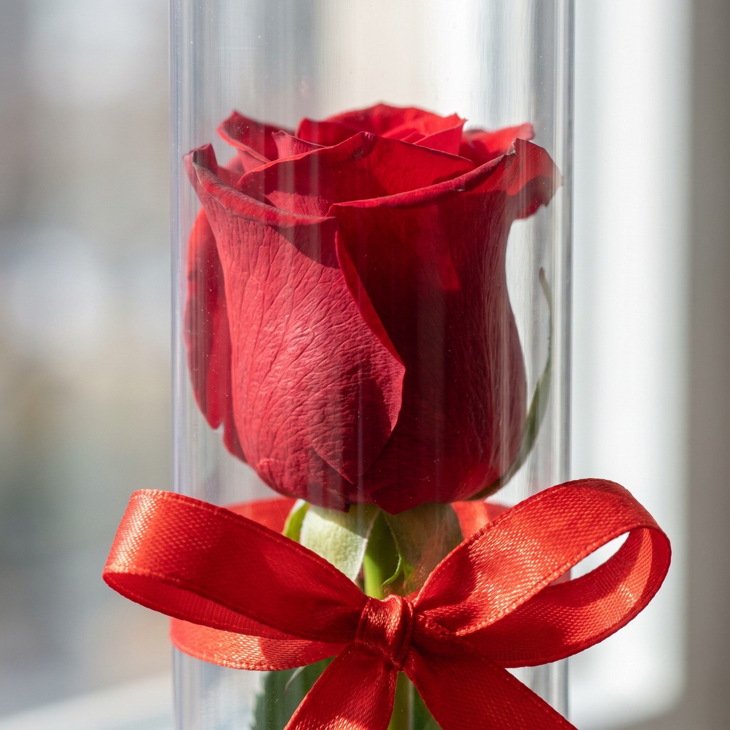 Rosa Solitária Recipiente Acrílico