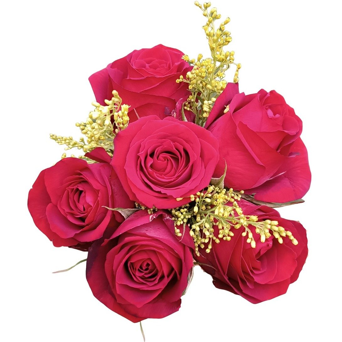 Buquê de 6 Rosas Vermelhas Lov'u