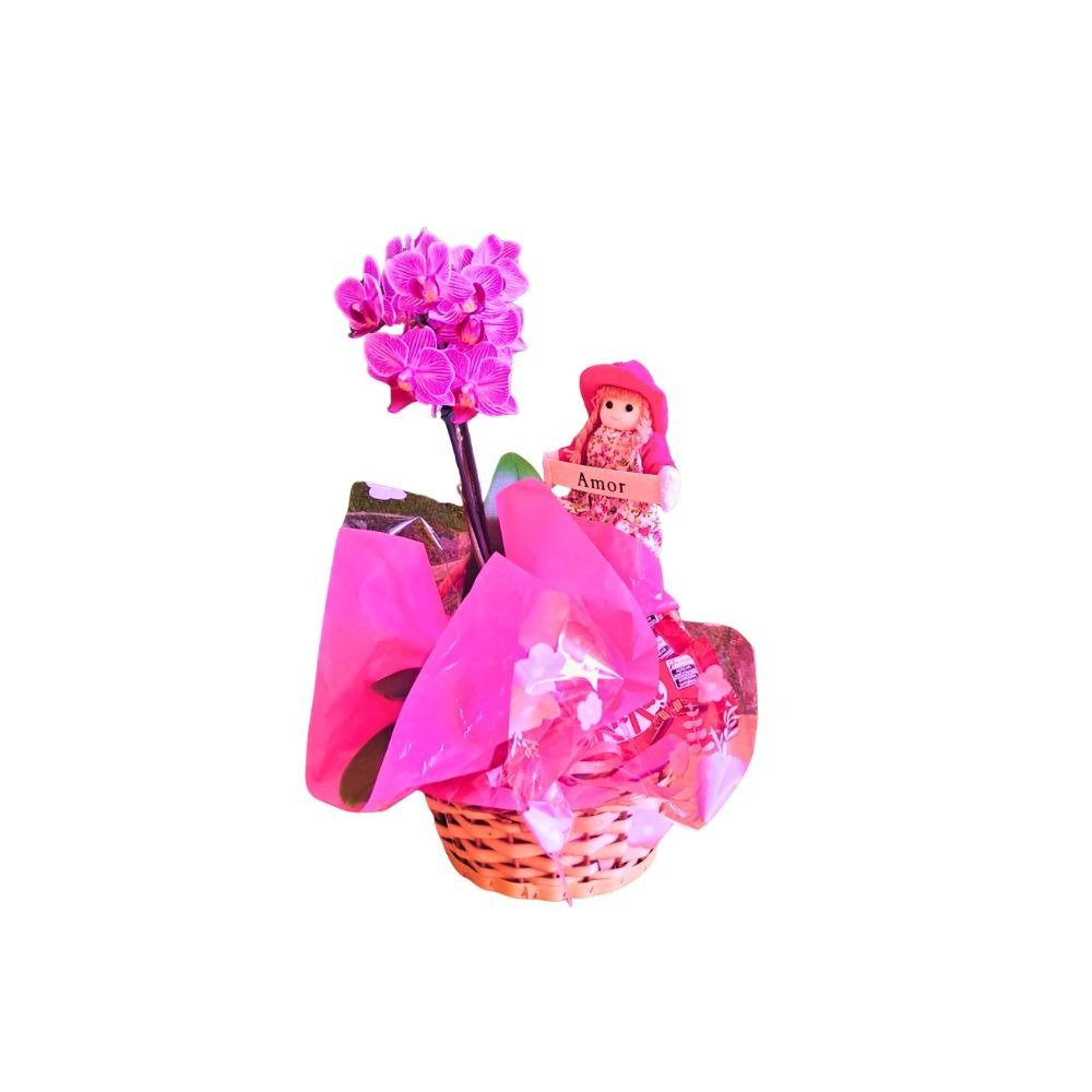 Cesta com Orquídeas Phalaenopsis Amor