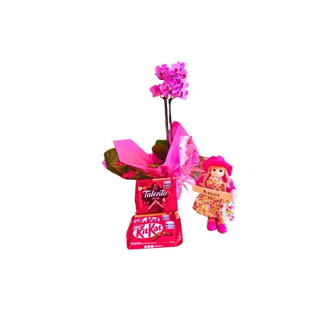 Cesta com Orquídeas Phalaenopsis Amor