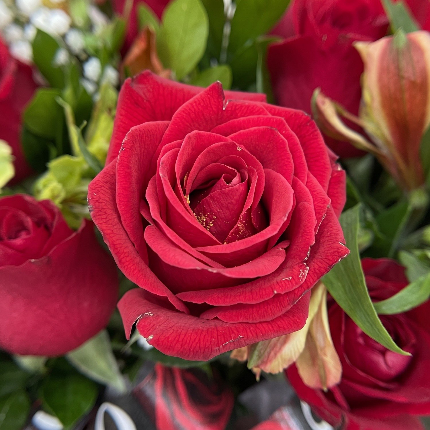 Buquê com 14 Rosas Vermelhas