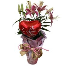 Lírio Cor de Rosa com Balão Dia das Mães