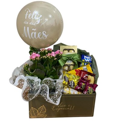 Cesta com Chocolates, Balão e Vaso de Calandiva