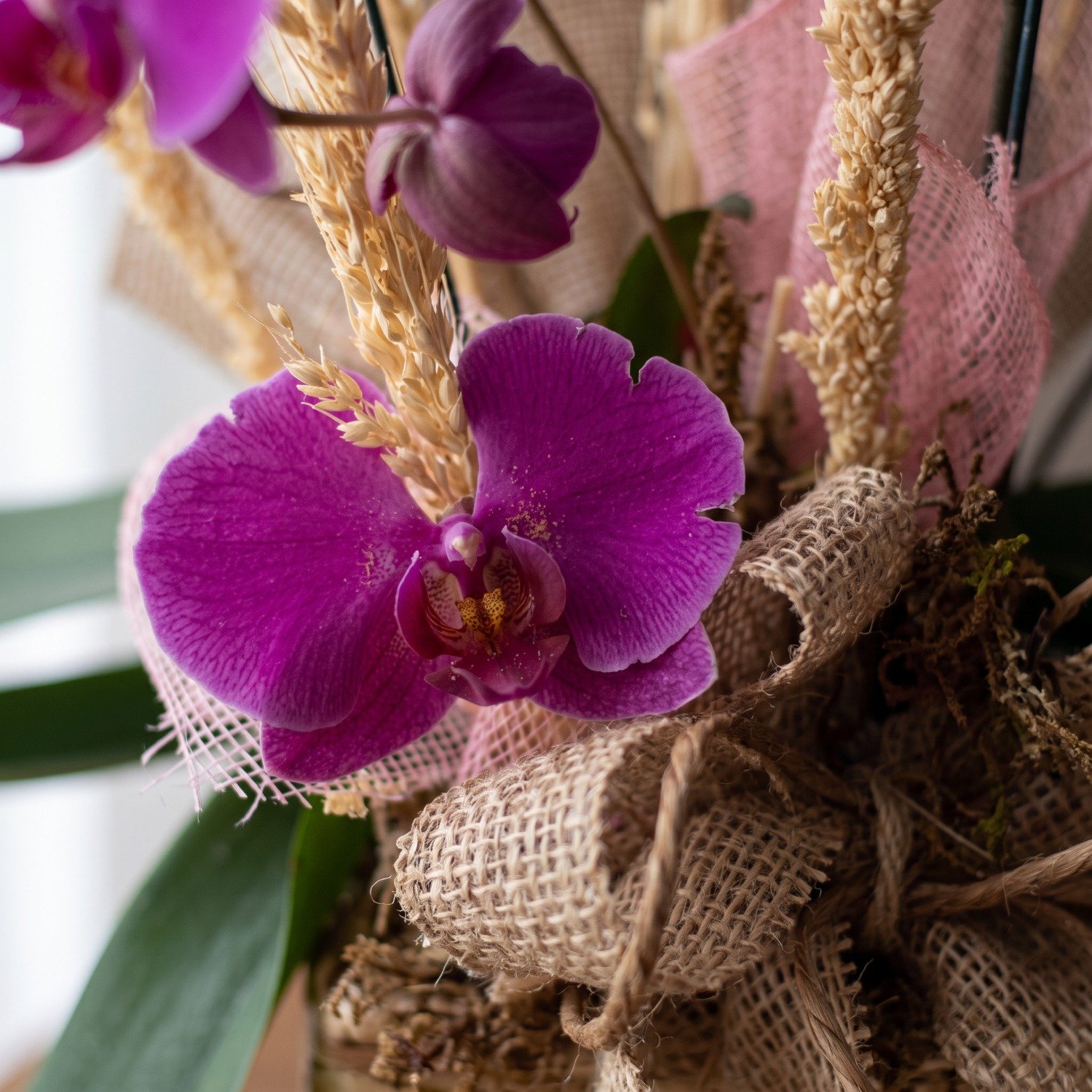 Surpreenda com Orquídea Roxa