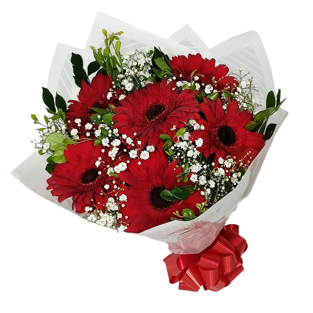 Buquê Encantador de Gérberas Vermelhas 6 und