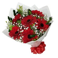 Buquê Encantador de Gérberas Vermelhas 6 und