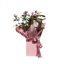 Roseira & Ferrero Rocher 4un