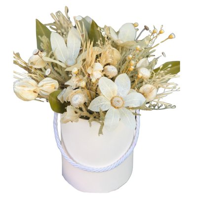 Box Alvorecer
